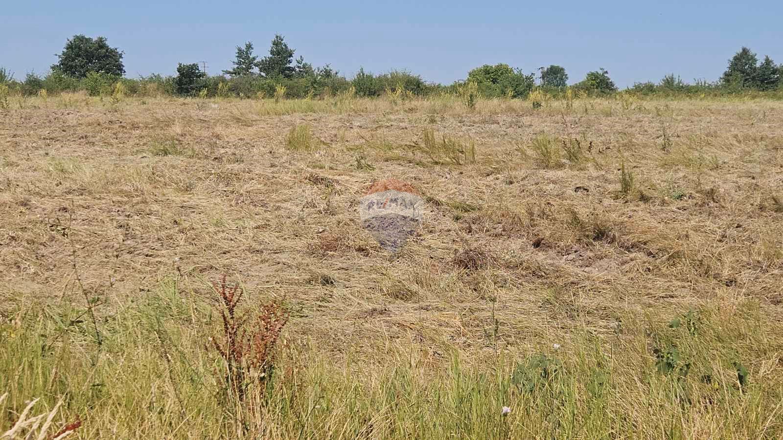 Урегулирани поземлени имот в с. Близнаци, РН
