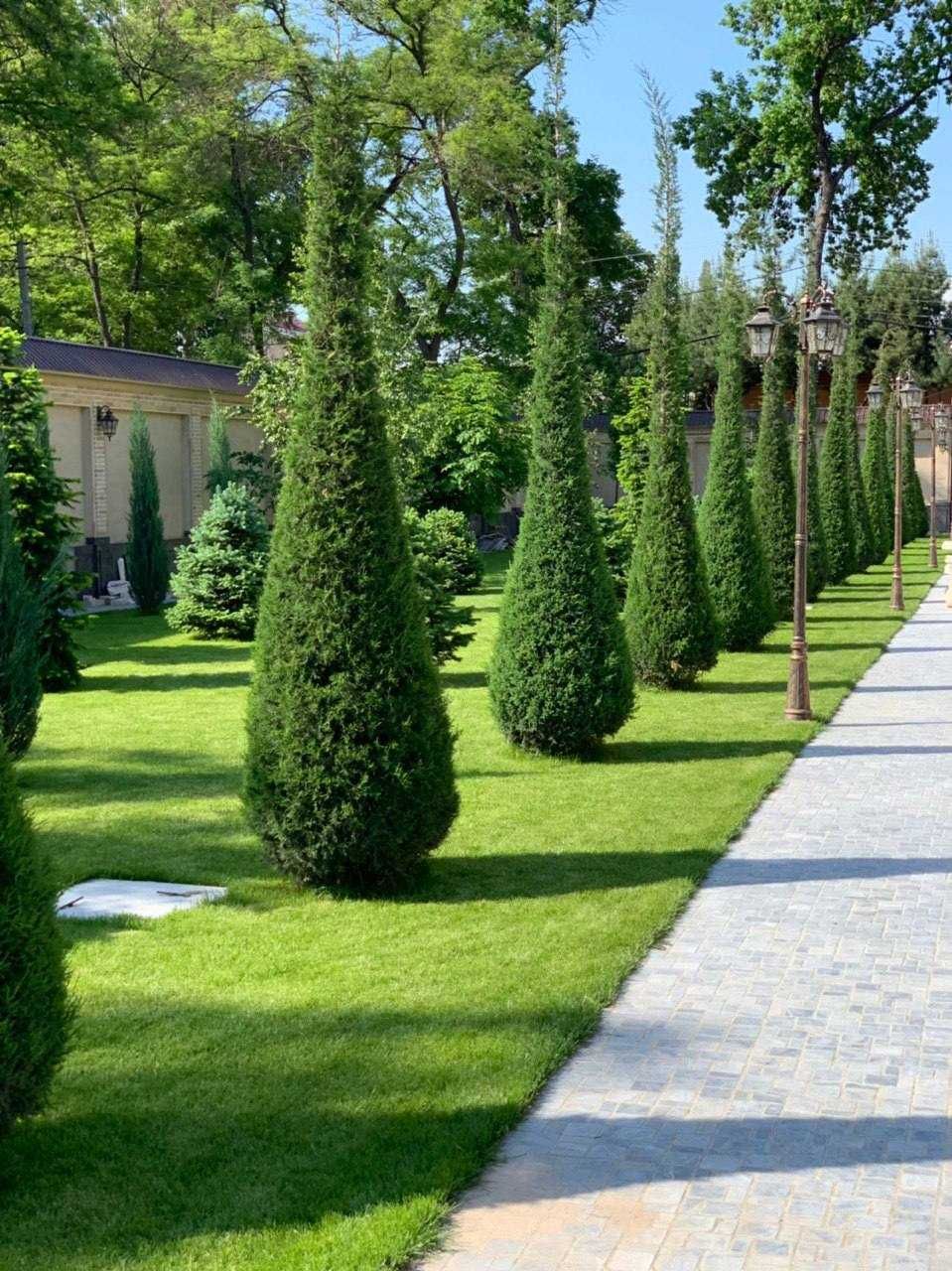 В аренду 26-ком особняк 1300 м² в Яккасарайском районе, ор-р Аския