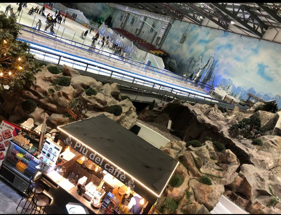 Продается Ледовый каток Frozen Lake