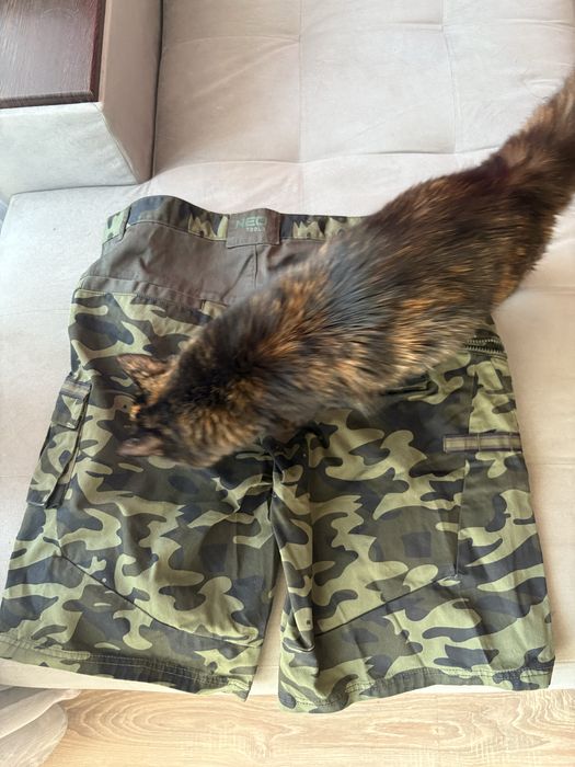 Мъжки бермуди/къси панталони