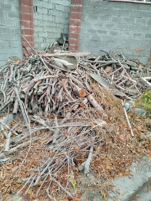 Утин Сотилади,,Меваники,,Тол. Дарахт ники