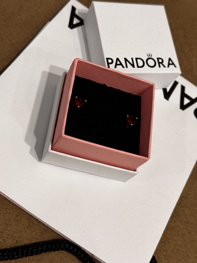 Пандора обеци Семейна топлина Pandora