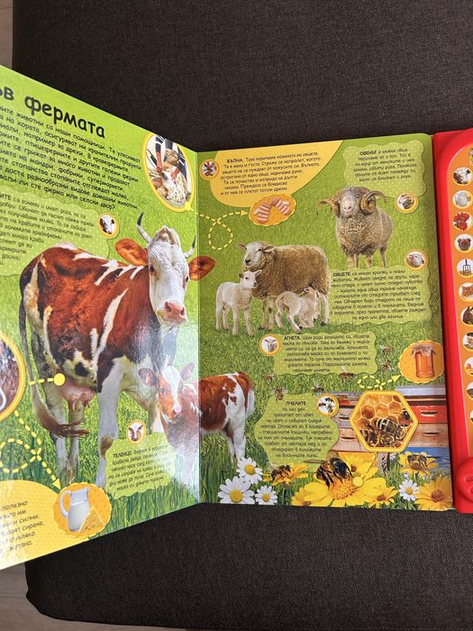 Детска  книжка със звуци