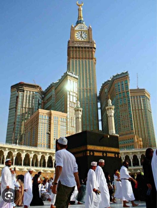 14 Kunlik STANDART UMRA safari-LitsenziyalanganN-0014
