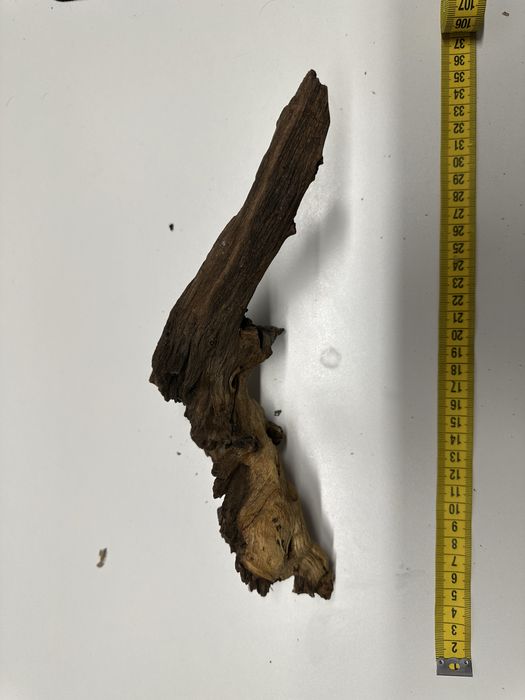 Lemne / radacini acvariu