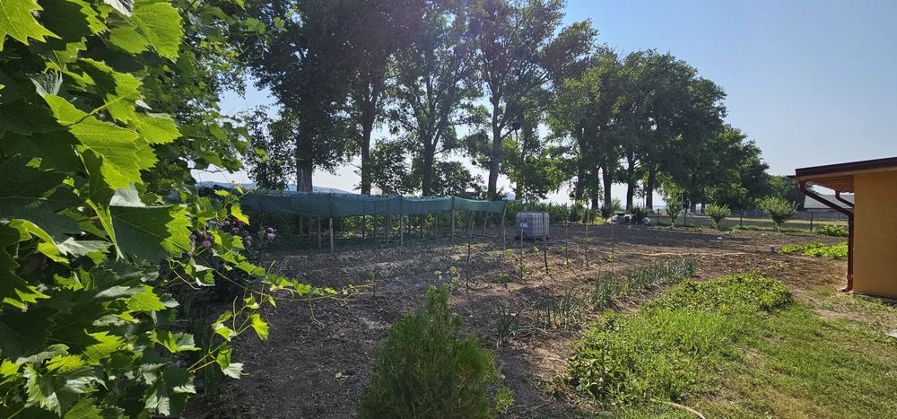 Casa de vânzare Horia-Tulcea + 3000mp teren