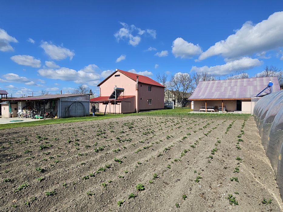 2 case finisate impecabil + 2.300 mp teren, panouri solare 6.5 kW, Jeb