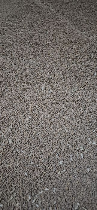 Grau selectat Anapurna si Apache