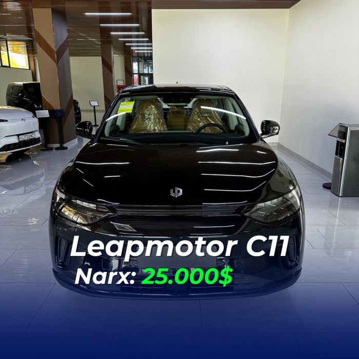 Leapmotor c11 2025