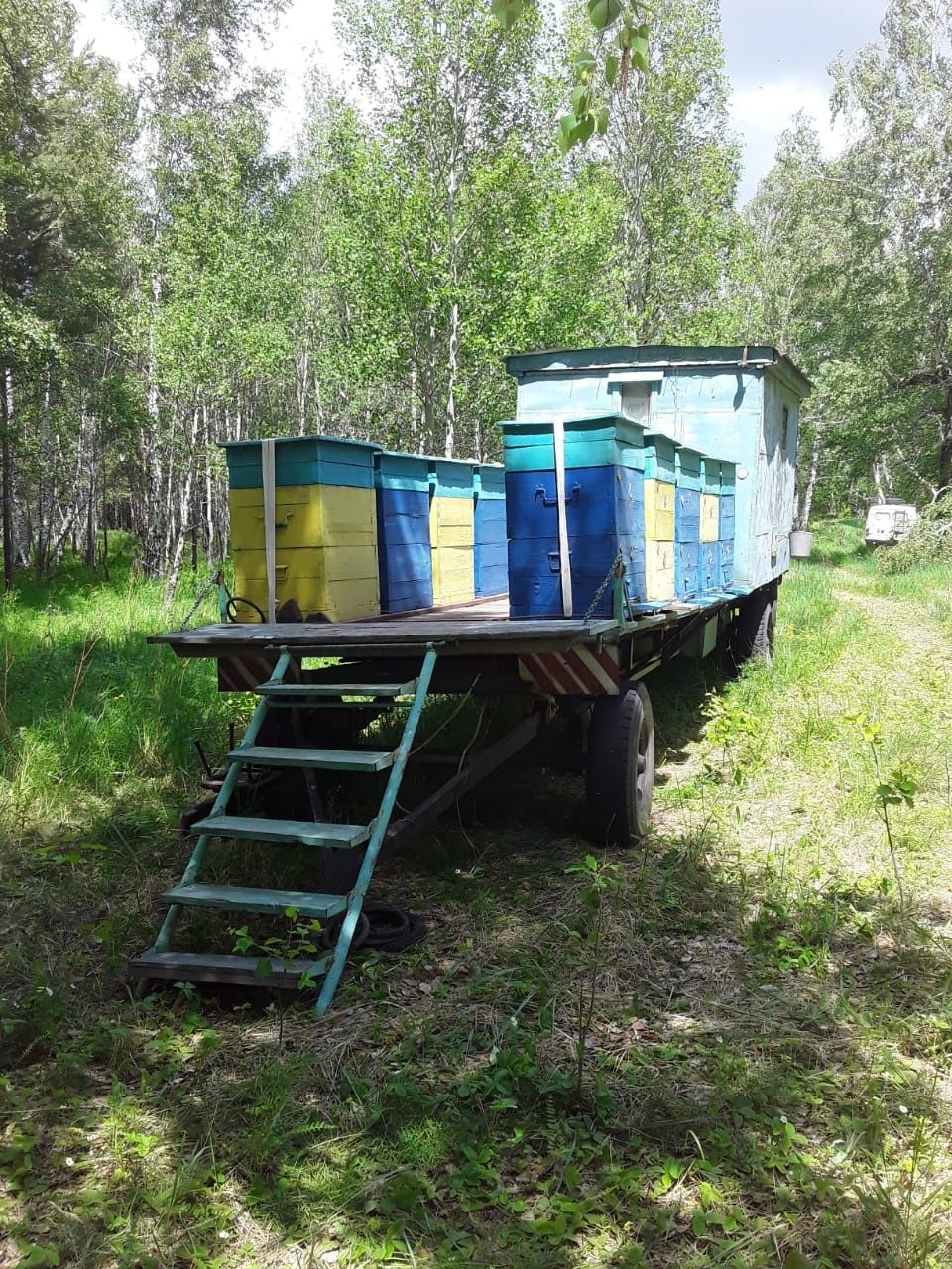 Продам действующую пасеку
