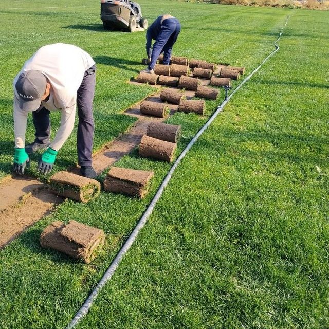 Boğbon xizmati lanshaf asosida