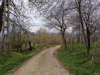 teren de vanzare - intravilan, 1.808 mp