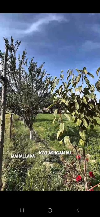 Uy Srochni Sotiladi