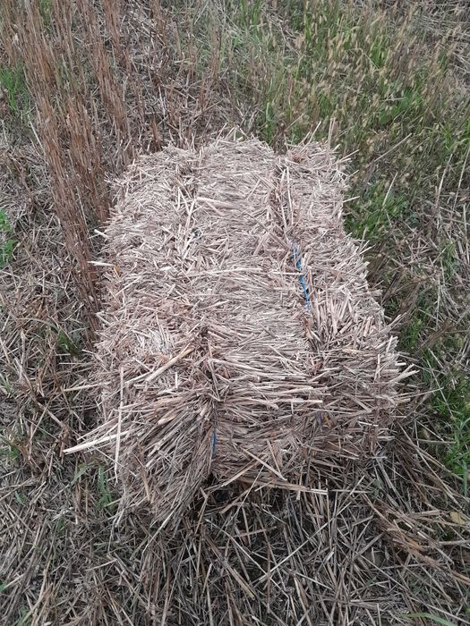 Baloți paie dreptunghiulari