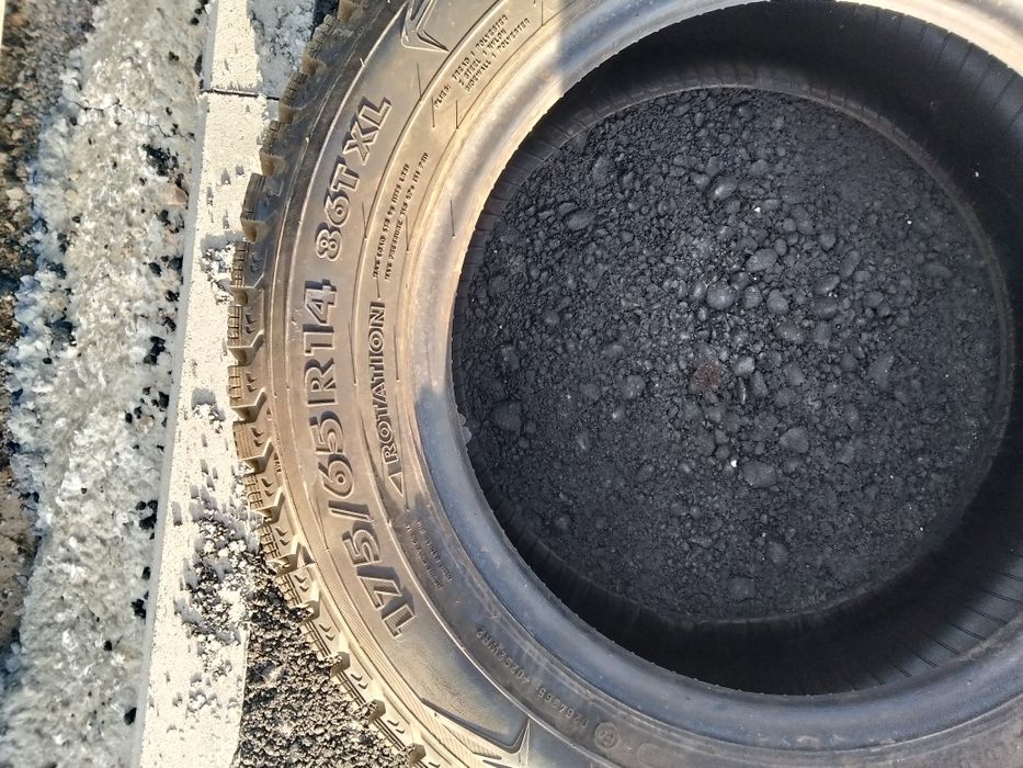 Кыскы донгелек сатылады кол жетимди багада 3 штук сатылады тез арада