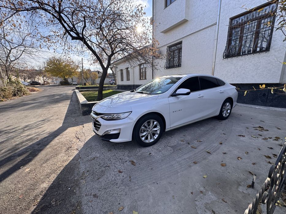 Милибу премер 2020 йил