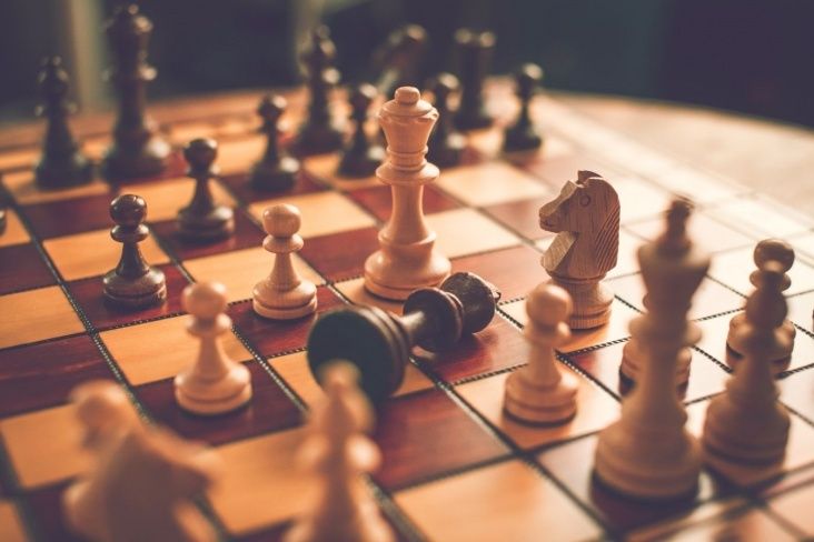 Тренер по шахматам / online chess coach
