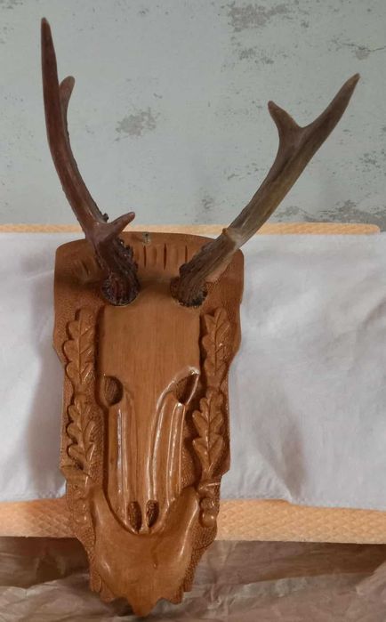 Trofeu căprior cu sculptură – decoruri autentice pe panoplie!