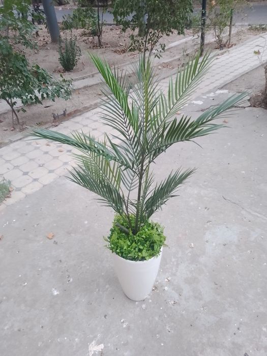 Продам срочно искуственную пальму