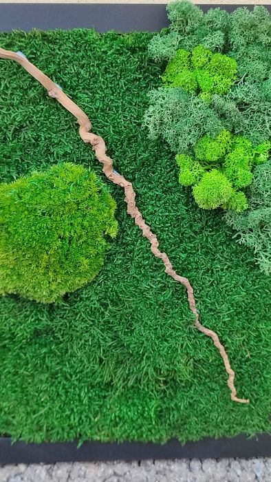 Tablou cu mușchi si licheni stabilizati