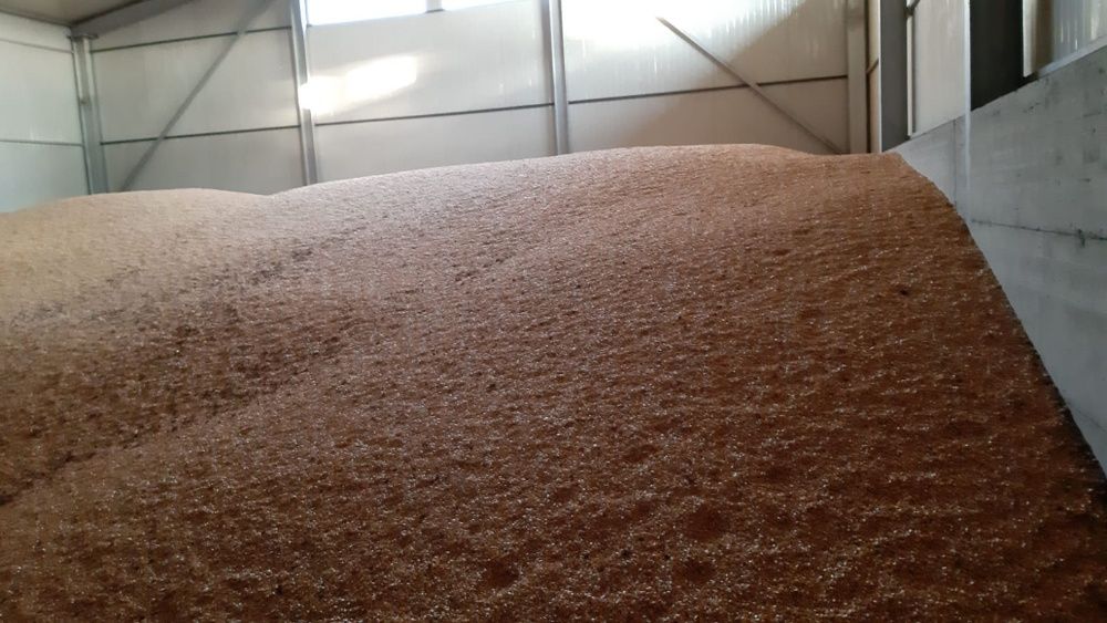 Amestec Cereale Tarata grau porumb floare ovaz, transport la domiciliu