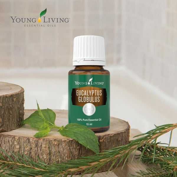 Ulei esential Eucalipt (Eucalyptus) Radiata/Globulus/Blue-Young Living