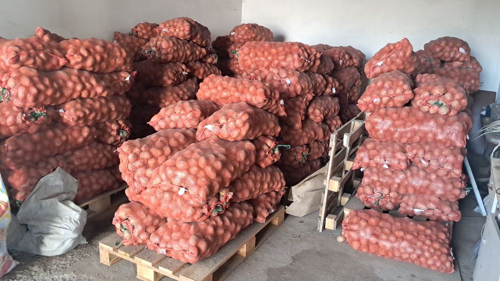 Продаю картошку Когалинский