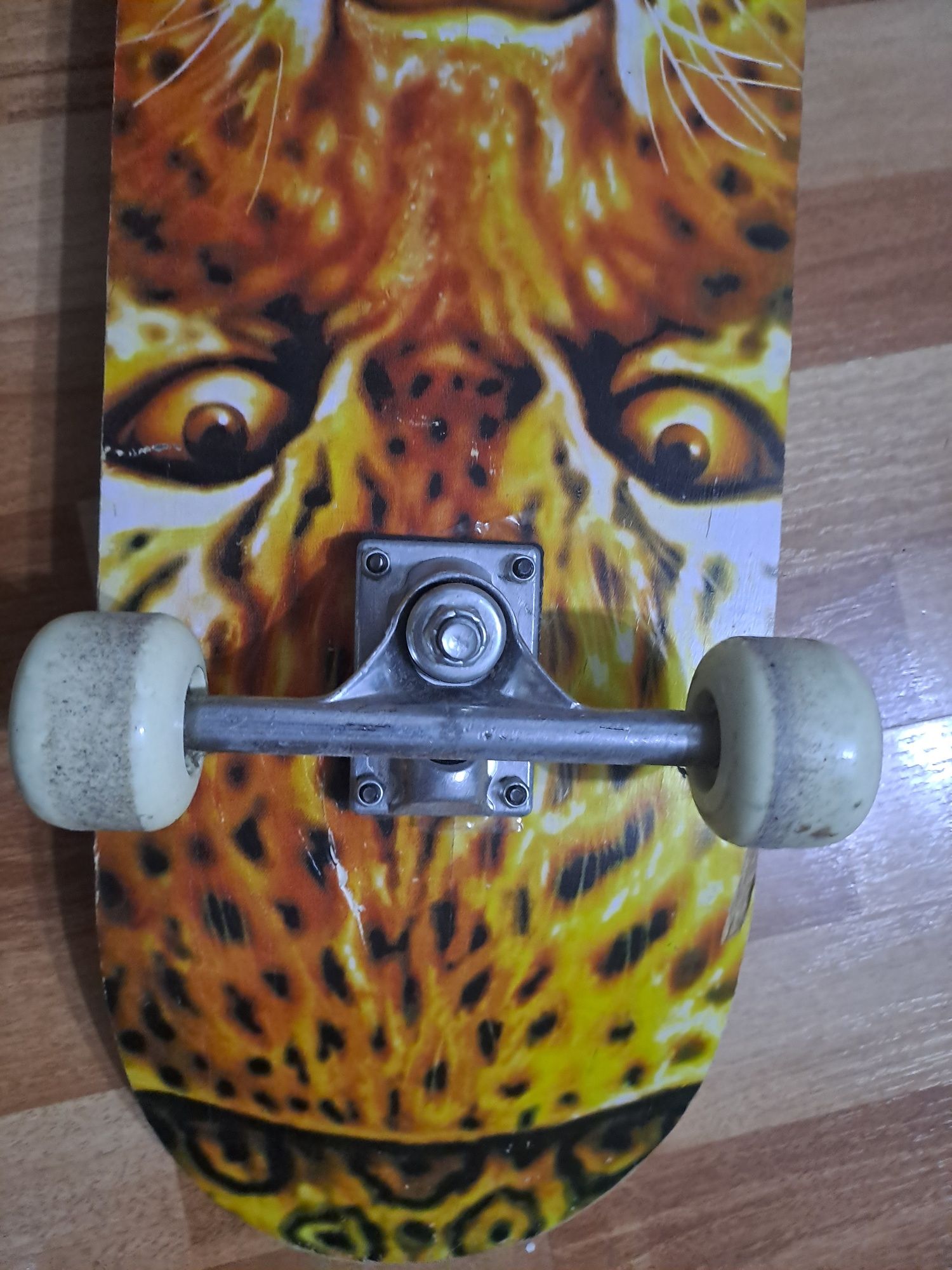 Skateboard  universal