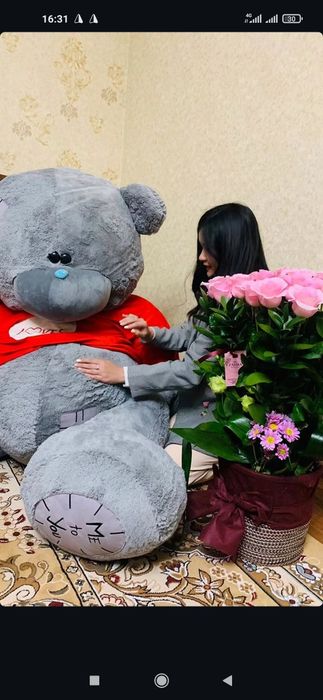 Teddi Teddy Ayiq (80sm 3m)