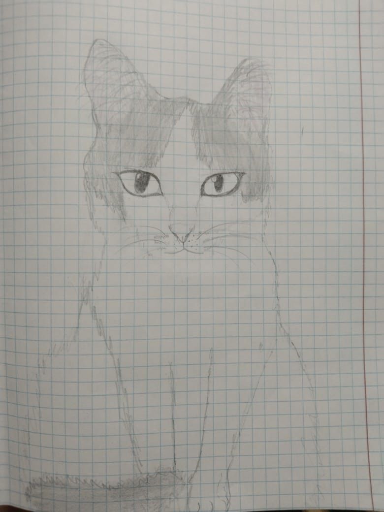 рисую домашних животных