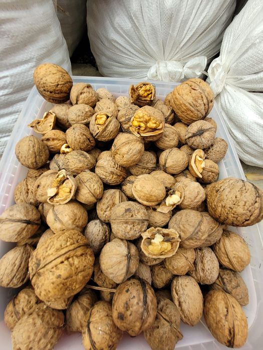 Vand nuci in coaja 13 Ron/kg