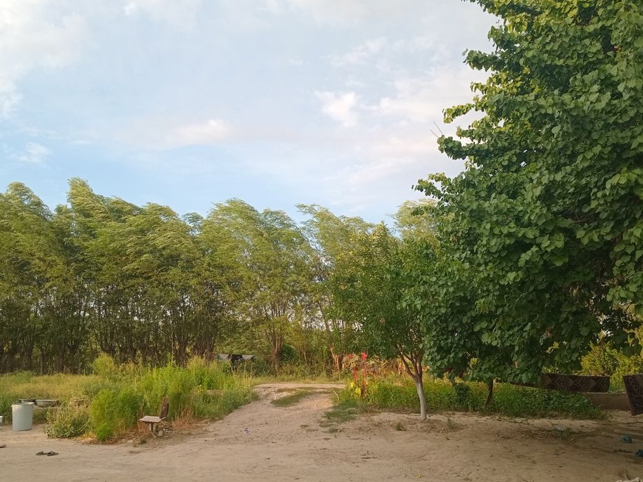 Buka tumanida chorva uchun nunjanlangan uy sotiladi 90 sotix