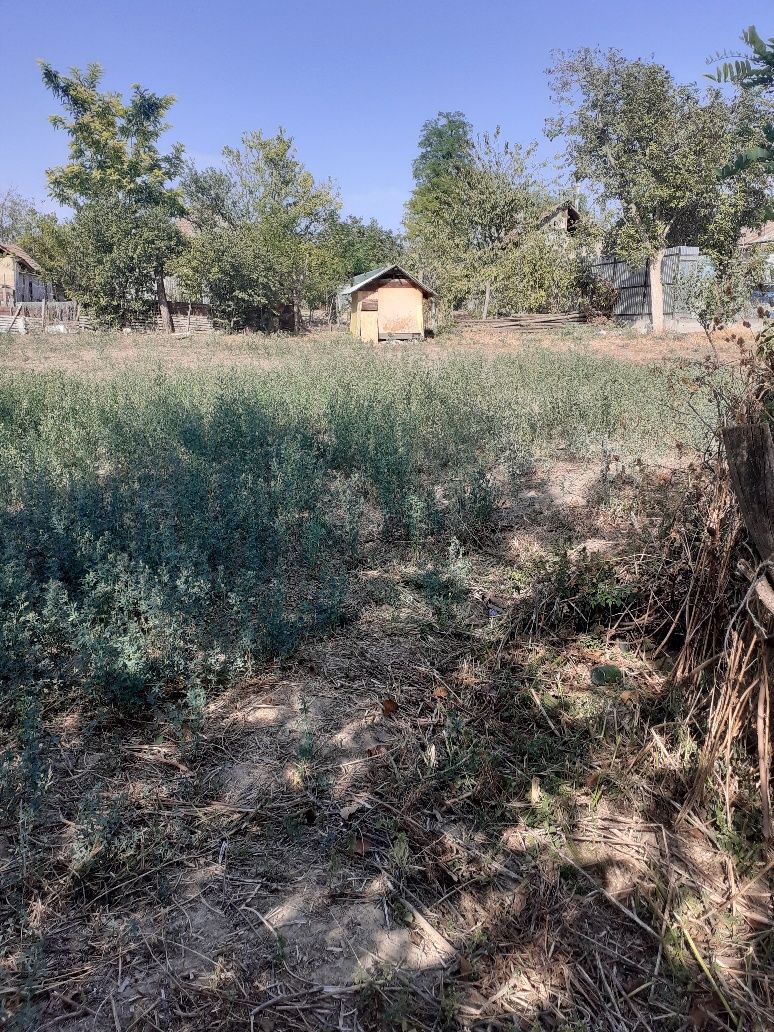 Vand teren intravilan.loc de casa  . 500 mp la 65 km de Bucuresti.