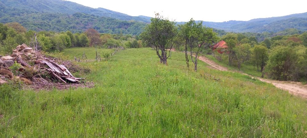 Teren montan de vanzare