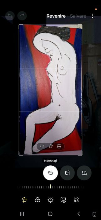 Tablou de colecție arta