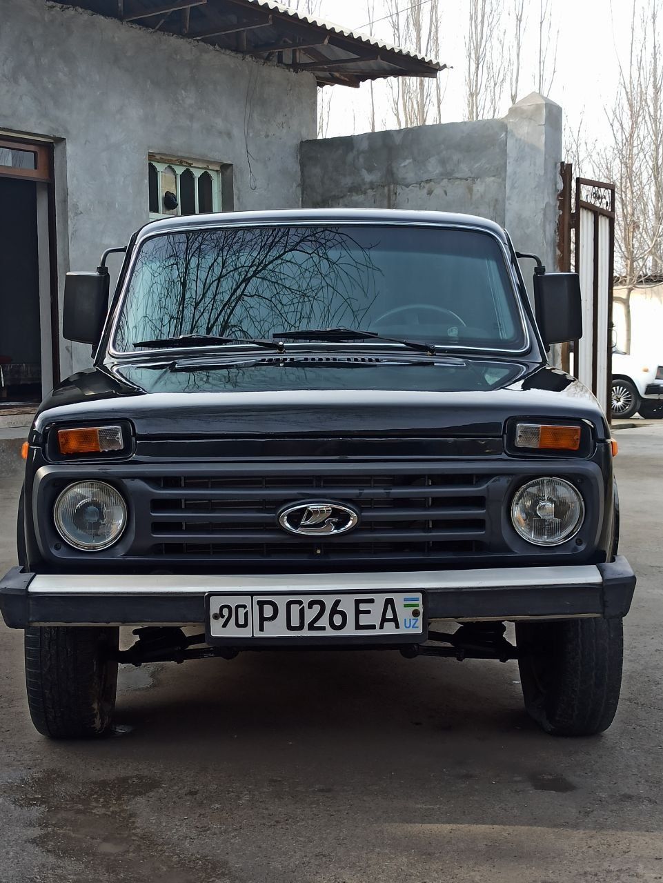 Niva uzuni Sotiladi