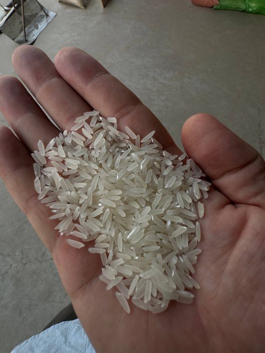 Лазер гуруч, рис, акция, узимизники 1 кул.