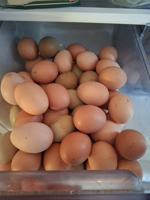 Нисан п12 1.9дци 120к.с.-части