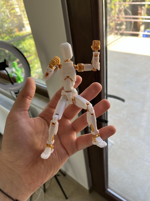 Figurină Personalizată 3D Dummy13 – Printată la Comandă!