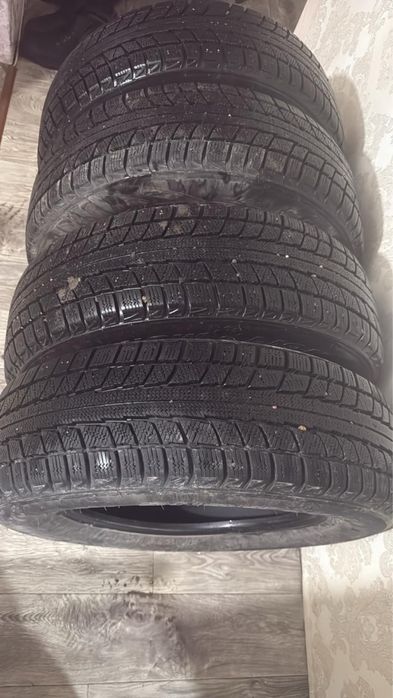 Шины зимние TRIANGLE