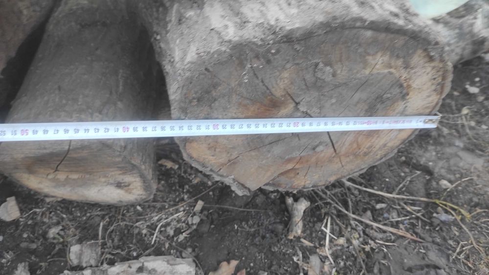 Lemn de nuc material mobilă