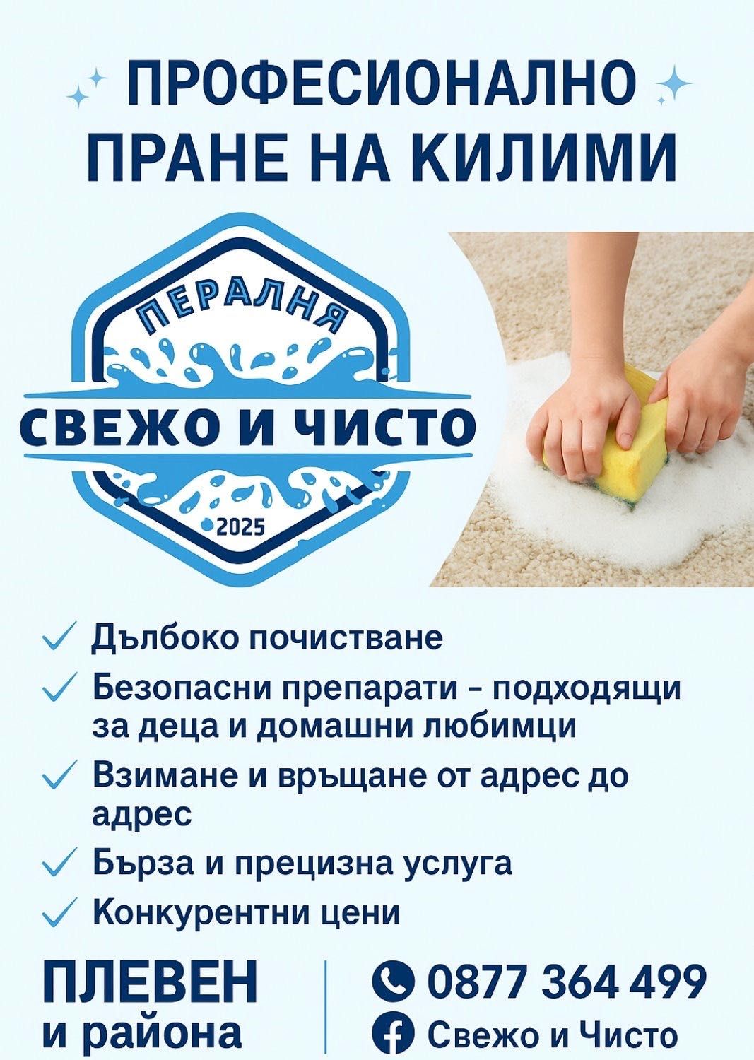 Професионално почистване