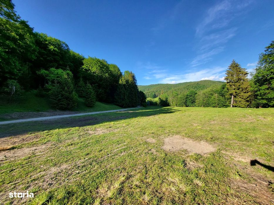 Teren de 12.000 mp la Vama Buzăului – Locație de Vis cu PUZ Aprobat