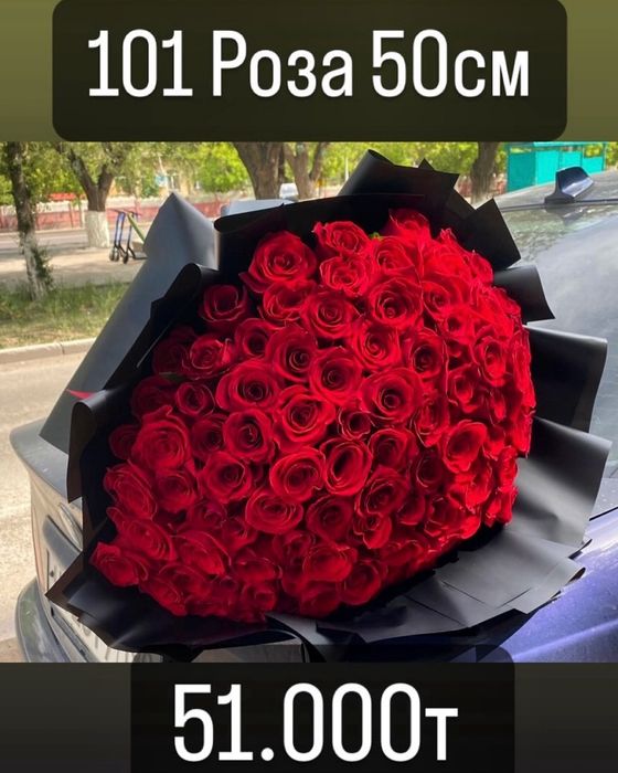 Акция,  розы  эквадор 50-70 см по супер цене!