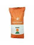 Seminte Porumb Kashmir (FAO 370), tratament initio, 50000 boabe, KWS