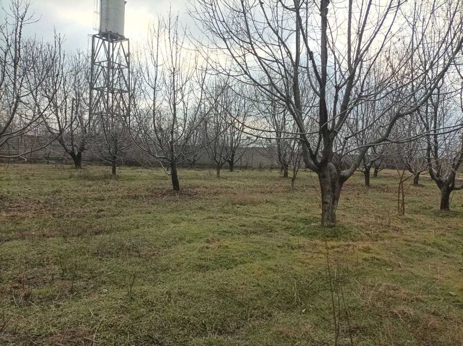 Дом Паркент Продаётся