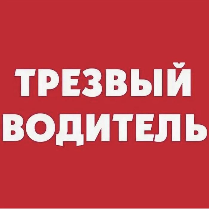 Трезвый водитель