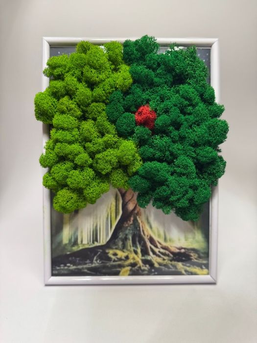 Vând tablouri licheni stabilizați