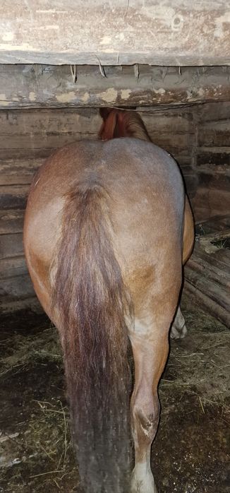 Vand doi manji de 3 si 4 ani