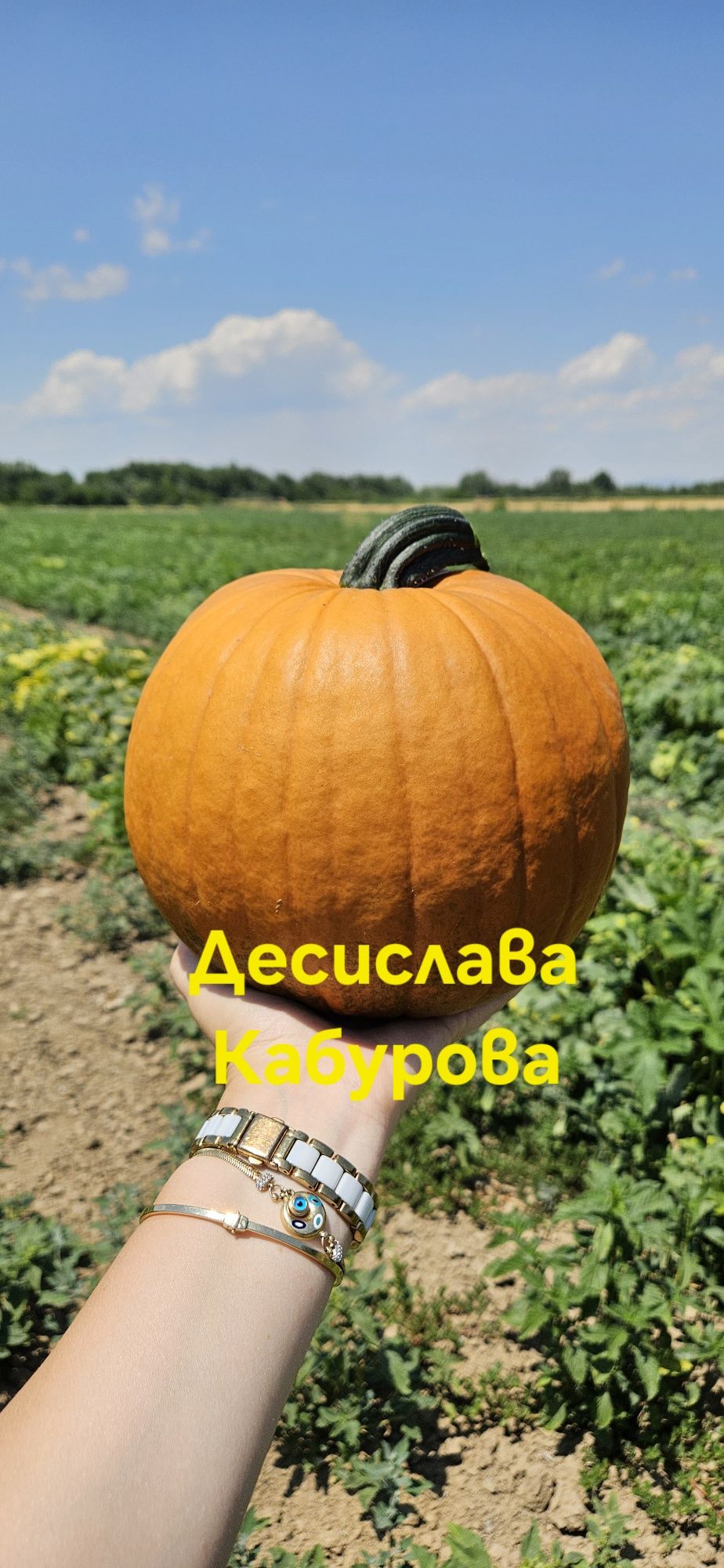 Декоративни тикви Хелуйнки-жълти